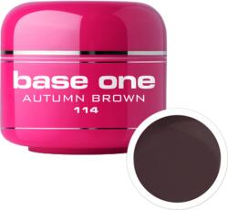 Base One Gel UV color Base One, 5 g, autumn brown 114