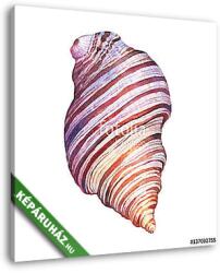  Vászonkép: Premium Kollekció: Illustrations of sea shells. Marine design. Hand drawn watercolo(145x145 cm)
