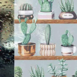 Gekkofix Kaktusz sztatikus üvegdekor ablakfólia 67, 5cmx1, 5m (67,5cmx1,5m)