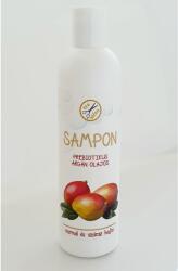Eco-Salon Prebiotikus argán olajos sampon normál és száraz hajra 250 ml