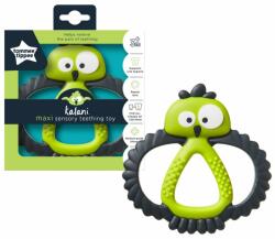 Tommee Tippee Inel gingival Tommee Tippee Teethe Kalani Maxi, 3 luni +, Verde, 1 buc (TT0366) - babyneeds