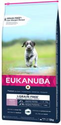 EUKANUBA Eukanuba Pachet economic: 2 x saci - Grain Free Puppy Large Breed Somon (2 12 kg)