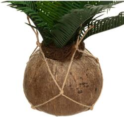 Atmosphera Palmă artificială într-un ghiveci de nucă de cocos, agățat, înălțime de 50 cm (179299)