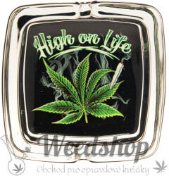 WeedShop Négyzet alakú üveg hamutartó - Cannabis Skull Változatok: High on life