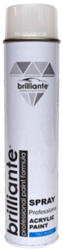 Brilliante Vopsea spray alb clasic lucios RAL 9003 Brilliante 600ml