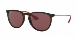 Ray-Ban Erika Color Mix RB4171 639175