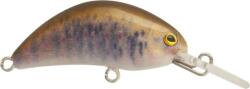 Rapture Pro Hot Bean Area S Brt 3.5g 40mm wobbler (180-07-098) - damil