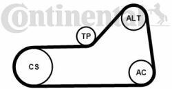 Continental Ctam Set curea transmisie cu caneluri CONTINENTAL CTAM 6PK1153K1 (6PK1153K1) - automobilus