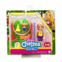 Mattel Barbie Chelsea Can Be Dresor de Caini GTN62 15cm Papusa Barbie