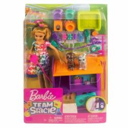 Mattel Barbie Set de joaca Stacie Dogs sitter GFF48 Papusa Barbie