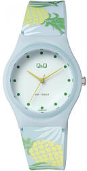 Q&Q VQ86J068Y Ceas