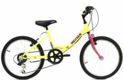 Neuzer Cindy 20 (2022)