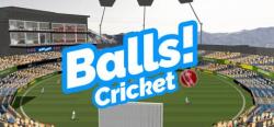 stickee Balls! Virtual Reality Cricket (PC)