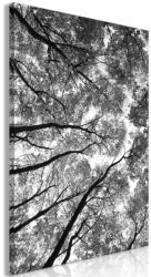 Artgeist Kép - High Trees (1 Part) Vertical 40x60