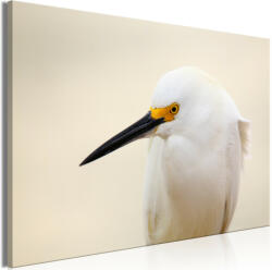 Artgeist Kép - Snowy Egret (1 Part) Wide 90x60