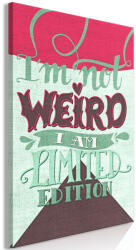 Artgeist Kép - I'm Not Weird (1 Part) Vertical 40x60