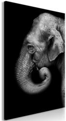 Artgeist Kép - Portrait of Elephant (1 Part) Vertical 40x60
