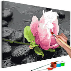 Artgeist Kifestő - Pink Flower and Stones 60x40