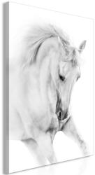 Artgeist Kép - White Horse (1 Part) Vertical 40x60