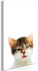 Artgeist Kép - Vexed Cat (1 Part) Vertical 40x60