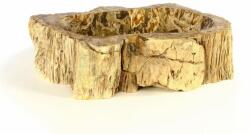 divero Mosdókagyló természetes kőből - FOSSIL (HF55745_01)