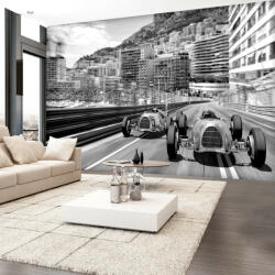 Artgeist Fotótapéta - Monte Carlo Race 350x245