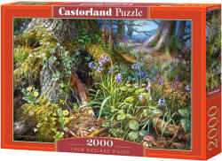 Castorland Puzzle Castorland din 2000 de piese - Din padurile Rusland, Graham Twyford (C-200764-2)