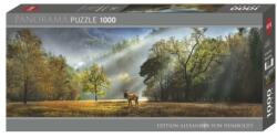 Heye Morning Salute, Edition Humboldt 1000 db-os (29947)