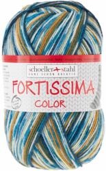 Scholler Fir textil Scholler Fortissima Sosete 4 culori 2491 pentru tricotat si crosetat, 75% lana, Country, 431 m (90028-2491) - cusutsibrodat