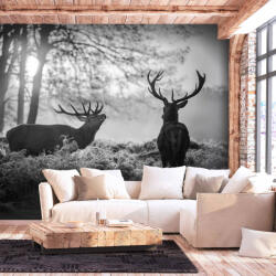 Artgeist Öntapadó fotótapéta - Deers in the Morning 196x140