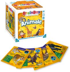 Asmodee BrainBox - Animale Joc de societate