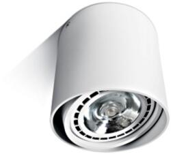 Schrack Tano ceiling luminaire 75W GU10 R111 100-240V IP20 alb (LID14654)