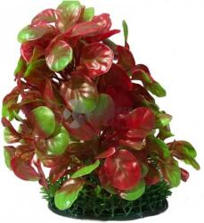 Akváriumi műnövény zöld és piros vesealakú levelekkel kicsi zöld levelekkel a talpán 25 cm