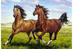Wizardi Gyémántfestés szett, barna lovak, 70x48cm (ART-WD2457)