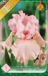  Iris germanica Pink rózsaszín írisz virághagyma 2