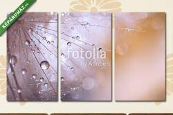 Többrészes Vászonkép, Premium Kollekció: Macro seed of dandelion with water drops. Abstract photo with a (125x70 cm, L01)