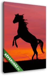  Vászonkép: Partner Kollekció: Ló sziluett (105x130 cm)