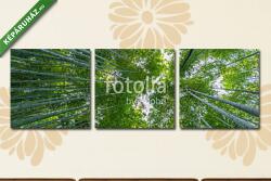 Többrészes Vászonkép, Premium Kollekció: Early morning sky view through bamboo stalks at Beautiful Sagano(125x40 cm, B01)