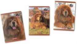 Herlitz Caiet A5, 48 file, patratele, Boss Phantom, Herlitz , diverse modele HZ9488480