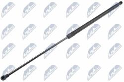 NTY Amortizor portbagaj NTY AE-RE-069 (AE-RE-069)