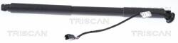 TRISCAN Amortizor portbagaj TRISCAN 8710 27302 (8710 27302) - automobilus