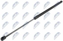 NTY Amortizor portbagaj NTY AE-LR-015 (AE-LR-015)