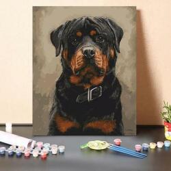 Hobbigyár Kft Rottweiler - számfestő készlet