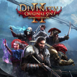 Larian Studios Divinity Original Sin II Divine Ascension DLC (PC)