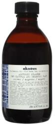 Davines Alchemic sampon természetes és festett hajra 280 ml