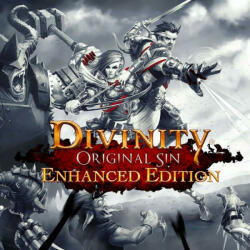 Focus Home Interactive Divinity Original Sin [Enhanced Collector's Edition] (PC)