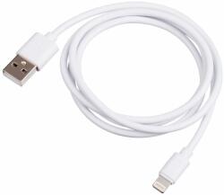 Akyga USB A / USB Lightning 1m (AK-USB-30)