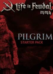 Bitbox Life is Feudal MMO Pilgrim Starter Pack (PC)