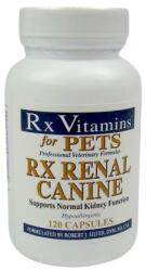 Rx Vitamins Renal Canine tabletta 120 db