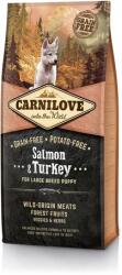 CARNILOVE Puppy Large Salmon & Turkey (2 x 12 kg) 24 kg